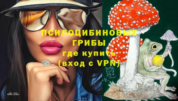 2c-b Володарск