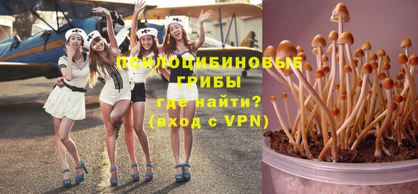 ешки Верхний Тагил
